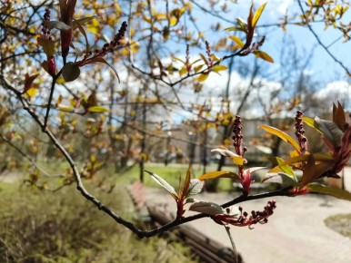 ������ ����, ������!. ����� ������ ���������, ���� ����������� ������� � ������� ��� ��������� ����� � �� +10 �������� �����