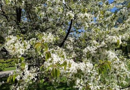 �������� ��� �������� �������� ������� ������� ������������ ����� �� ������� ���������, � �� ����������� ���������� �� ����������� �������