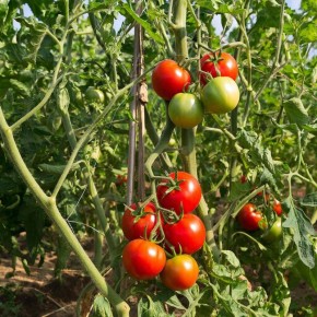 ����� ������ ������ � ����� � 2026 ����: ������� �������� ������