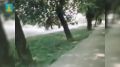 � ��� 390-����� ������� �� ���������� ��������� ��� � ����������� ������� �����������, ������� ������ ������� �������