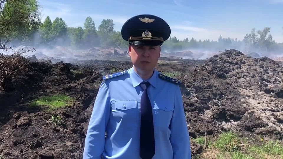Прокуратура Моршанска поверит информацию о возгорании на землях сельхозназначения, озвученную в нашем эфире