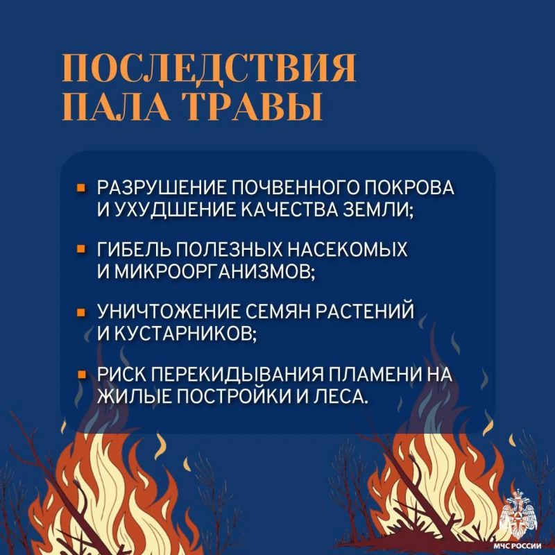 Не допусти пожара. На территории области пожароопасный сезон Не допусти пожара. На территории области пожароопасный сезон