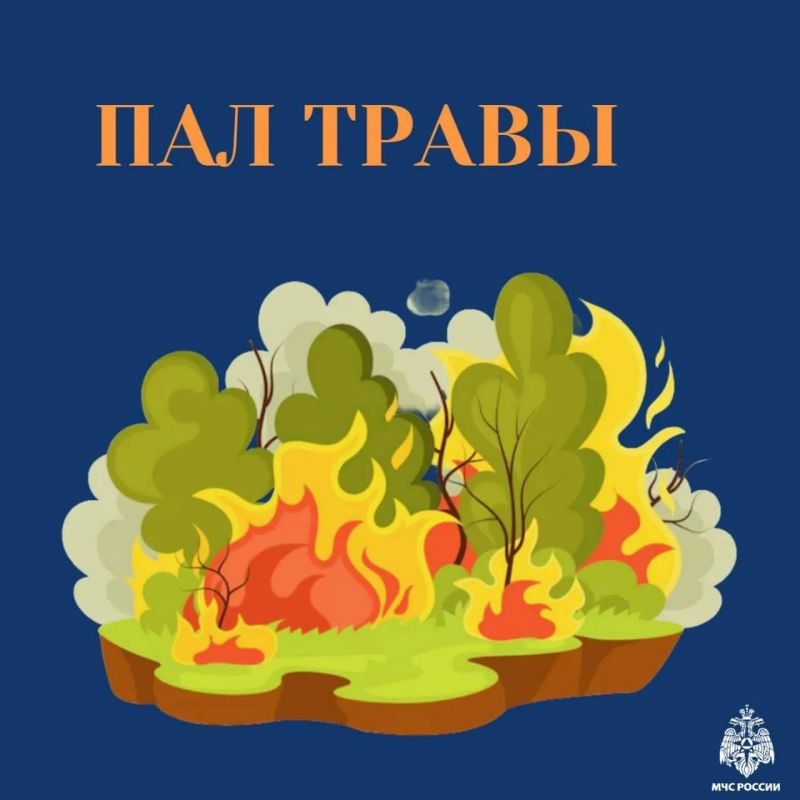 Не допусти пожара. На территории области пожароопасный сезон