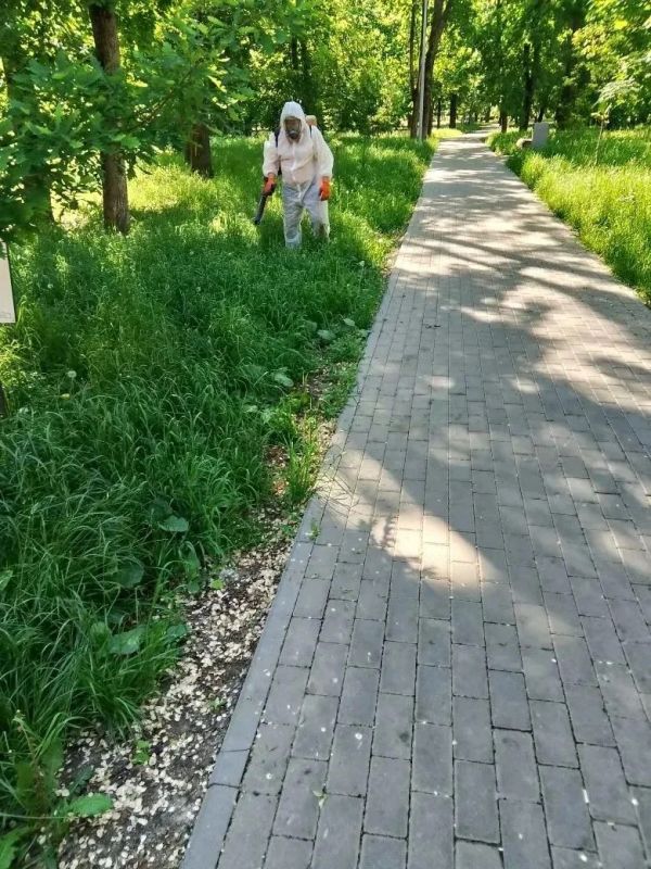 В Тамбове обрабатывают от клещей Пионерский парк и Ахлебиновскую рощу