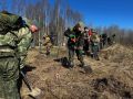 Завершился весенний этап полевых поисковых экспедиций Всероссийской акции «Вахта Памяти-2026»