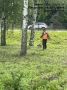 Летом в работе городских служб большое внимание уделяется покосу травы