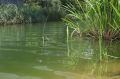 В Ржаксинском округе утонул мужчина