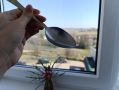 Как добиться идеальной чистоты окон, не прибегая к химикатам