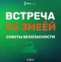 МЧС напомнило тамбовчанам правила поведения при встрече со змеями