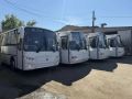 Новый автобус выходит на маршруты, связывающие Тамбов с Умётом и Кирсановом