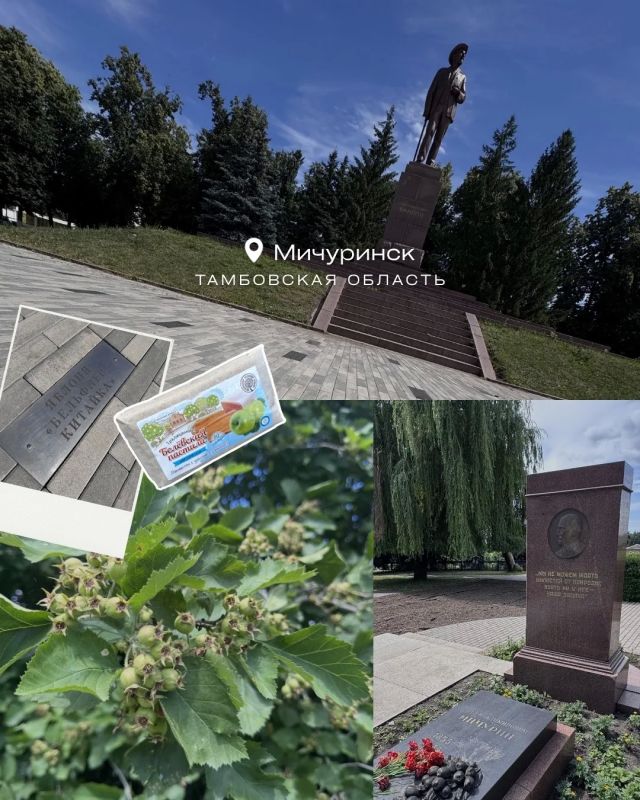 “Мичуринск, я влюблена!”: телеведущая Яна Чурикова рассказала о поездке в Наукоград “Мичуринск, я влюблена!”: телеведущая Яна Чурикова рассказала о поездке в Наукоград
