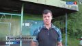 Дорога, деревья и… ремонт остановочного павильона
