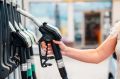 АО «Воронежнефтепродукт» сохраняет поставки бензина и дизтоплива на АЗС «Роснефти» в Тамбовской области на уровне прошлого года