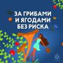 Для любителей тихой охоты. В поисках грибных мест необходимо не забывать и о безопасности