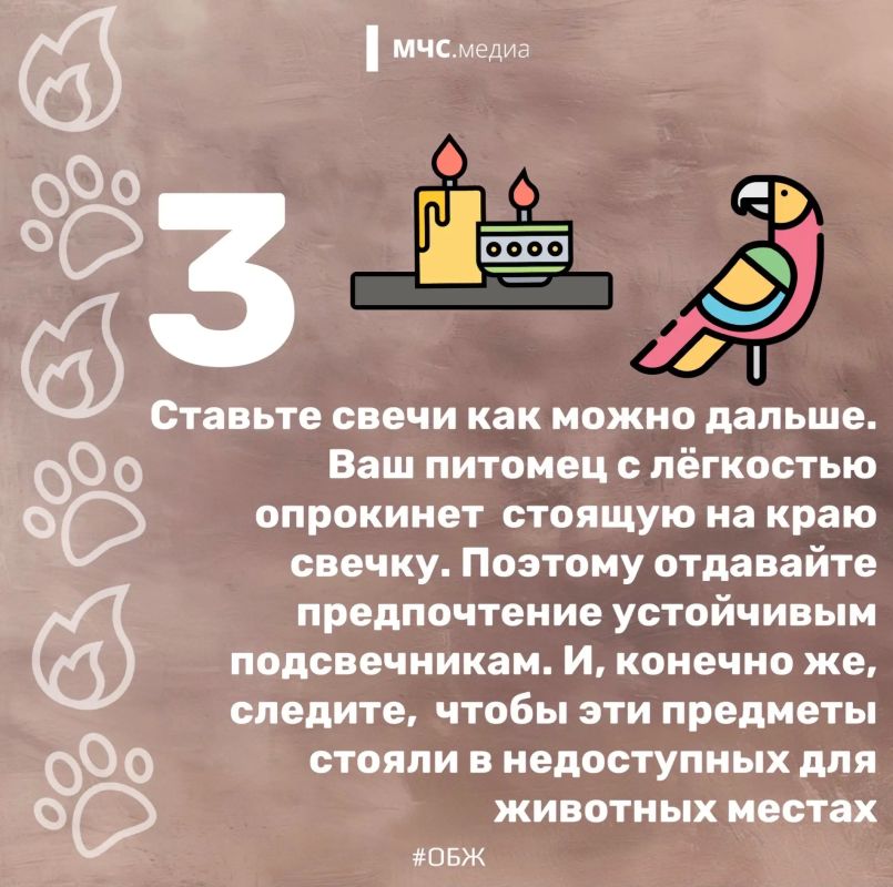 15 июля — Национальный день пожарной безопасности домашних животных 15 июля — Национальный день пожарной безопасности домашних животных