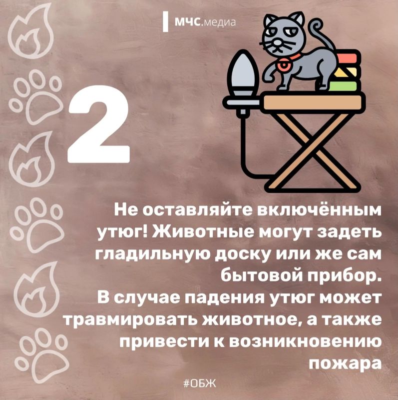 15 июля — Национальный день пожарной безопасности домашних животных 15 июля — Национальный день пожарной безопасности домашних животных
