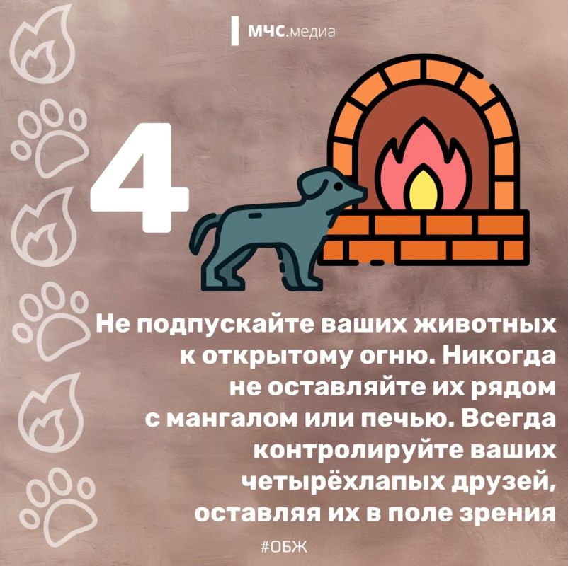15 июля — Национальный день пожарной безопасности домашних животных 15 июля — Национальный день пожарной безопасности домашних животных