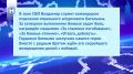 Контрактника из Тамбовской области наградили тремя медалями за участие в СВО