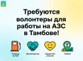 Требуются волонтеры для работы на АЗС в Тамбове!
