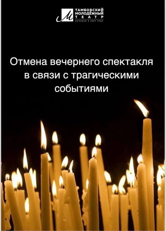 Хорошие новости! Кошка Лисёна из котокафе нашла дом Хорошие новости! Кошка Лисёна из котокафе нашла дом