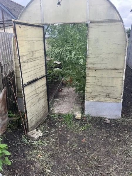 Житель Токарёвки оборудовал теплицу для выращивания наркотических растений