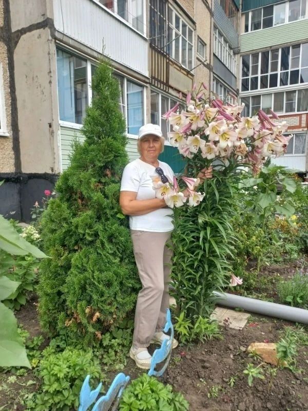 Цветовод из Тамбовской области Надежда Батищева вырастила лилию высотой почти 2 метра