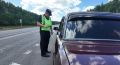В Тамбовской области в ходе рейда более 240 водителей привлекли к ответственности за выезд на встречную полосу