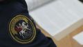 В Тамбовской области предприниматель заплатит штраф за уклонение от уплаты более 7,5 млн рублей налога