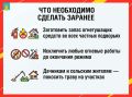 Напоминаем, с 22 июня в регионе действует особый противопожарный режим