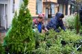 В Тамбове приводят в порядок городские клумбы