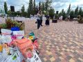 На благотворительном концерте в помощь бездомным животным тамбовчане собрали более 300 кг сухого корма