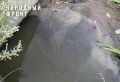 ����� �� ������ ���� �� �������� �������� � ��������������� �������� � ����������� ������� �������