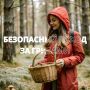 Грибникам на заметку. Как сходить за дарами леса и не угодить в беду - в памятках МЧС России