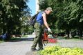 В Тамбове провели обработку от сорной растительности гербицидом нового поколения