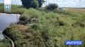 В городе Рассказово химические отходы попали в реку Лесной Тамбов