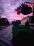 Хорошего вечера. Анна Левина