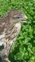 � ����������� ����� ������ ������ ���� �������� �������������� �����