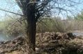 В Моршанске с водопользователя взыскали более 465 тысяч за нанесённый реке ущерб