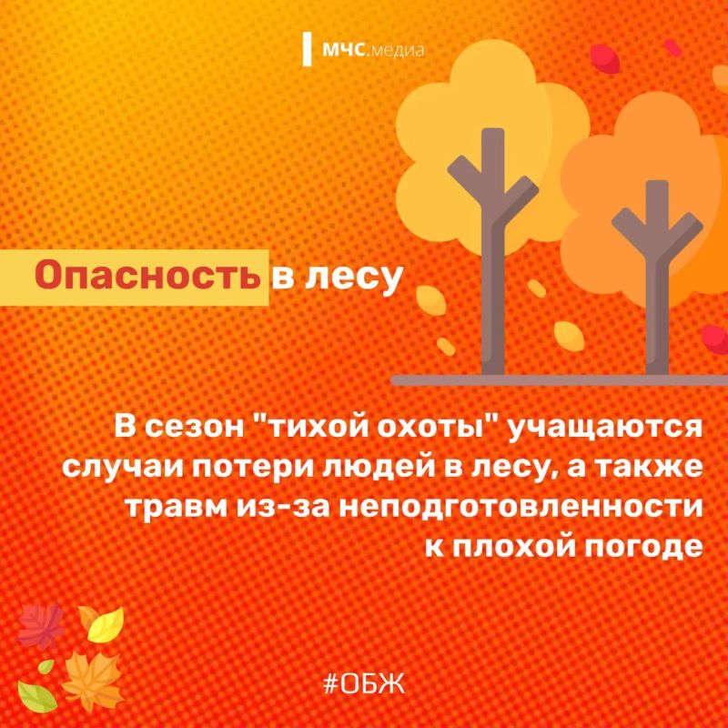 Осень – прекрасна и опасна Осень – прекрасна и опасна