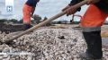 В посёлке Мордово Тамбовской области обустраивают новый сквер