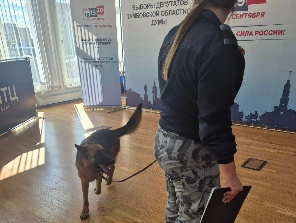 В Тамбовской области примут необходимые меры для того, чтобы Единый день голосования прошёл без каких-либо нарушений