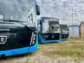 В Тамбов поступила партия из 15 новых автобусов для общественных маршрутов