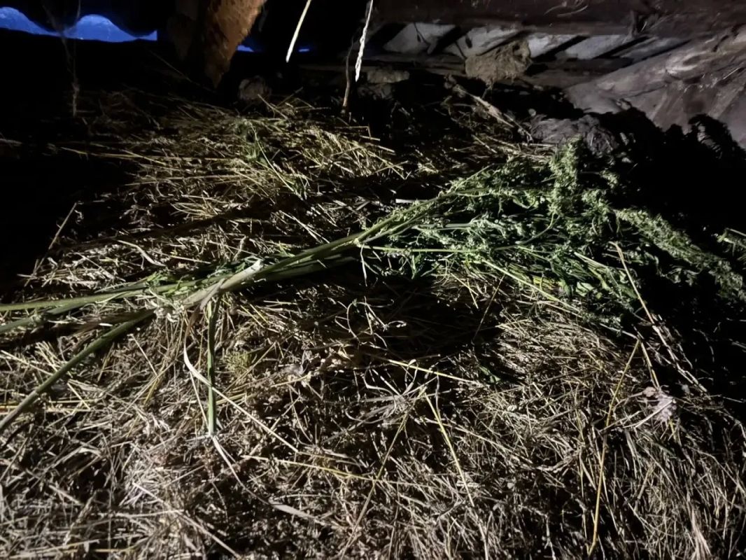 В Мордовском муниципальном округе пресечён факт незаконного хранения наркотического средства в крупном размере В Мордовском муниципальном округе пресечён факт незаконного хранения наркотического средства в крупном размере