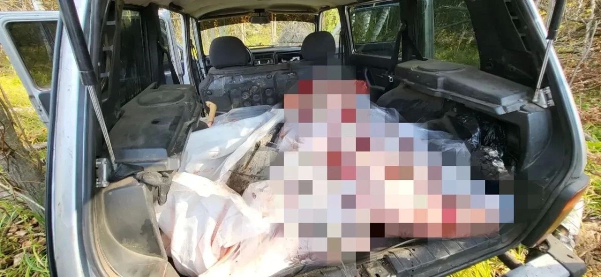 Под Тамбовом задержаны браконьеры, незаконно добывшие лося и косулю