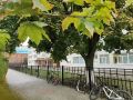 Красивая теплая осень в любимом уютном городе