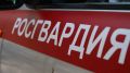 В Тамбовской области росгвардейцы 80 раз выезжали по сигналу тревоги на охраняемые объекты