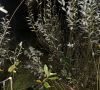 � ������������ ��������� ����������� ������ ���������� ������� ���������� ���� 79-������� �������