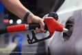 В Тамбовской области вновь отмечен рост цен на бензин у независимых АЗС