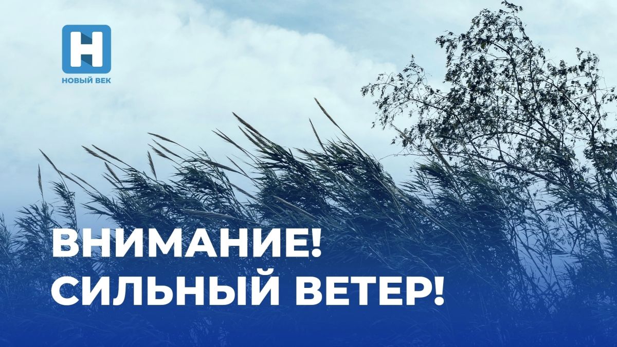 МЧС предупреждает об усилении ветра 24 сентября