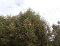 Прокуратура Первомайского района защитила права местной жительницы, обратившейся на личный прием к прокурору Тамбовской области Андрею Кулагину